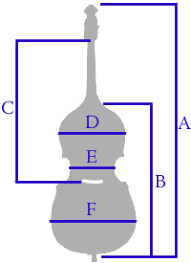 About The Double Bass Double Bass Guide