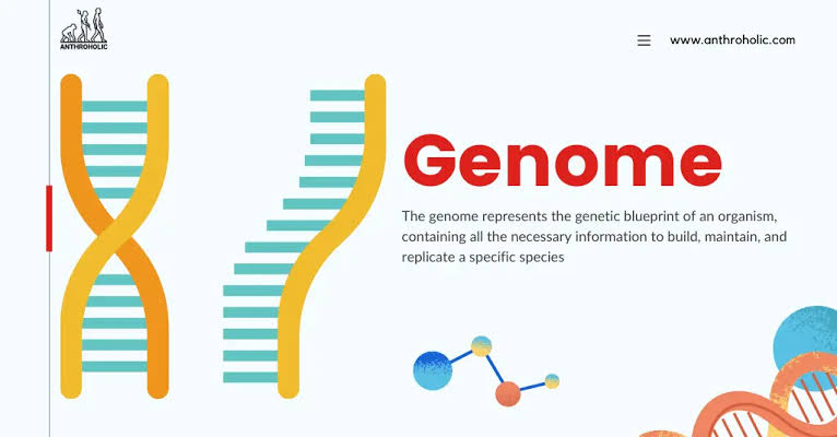 genome
