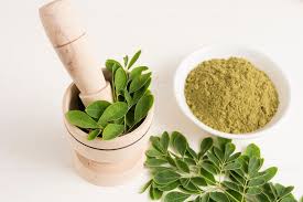 Image result for Moringa