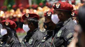 Horizontální žaluzie, vertikální žaluzie, textilní roletky, dále sortiment venkovního stínění: Vhyw7wuq87bz5m