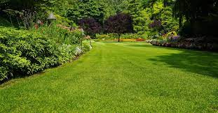 Always be sure to water your lawn before 10 a.m., or between 4 p.m. How To Grow Grass Fast This Old House
