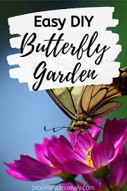 Easy Diy Butterfly Garden Butterfly Garden Butterfly Garden Design Diy Butterfly
