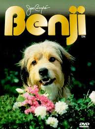 30 Of The Greatest Movie Dogs Childhood Memories Dog Movies Childhood