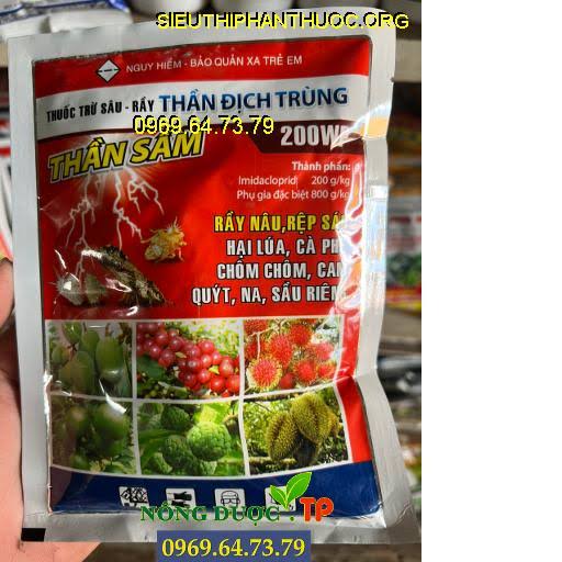 Thần Địch Trùng 200WP
