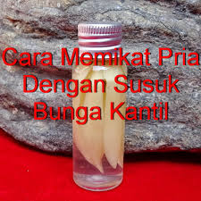 Jadi penggunaannya jauh lebih mudah dibandingkan dengan kristal mani gajah. Cara Memikat Pria Dengan Susuk Bunga Kantil