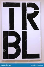 Image result for christopher wool trbl