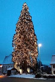 Weihnachtsbaum Wikipedia