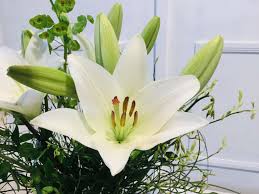 Check spelling or type a new query. Strauss Elegante Weisse Lilien Dieblumenbringer De