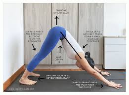 How To Do Downward Facing Dog In 2020 Downward Facing Dog How To Do Yoga How To Relieve Headaches