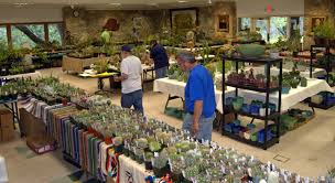 Founded in 1929, the cactus and succulent society of america (cssa) is a worldwide community of avid gardeners, hobby and commercial horticulturists it features popular and scientific articles about cacti and other succulent plants, including caudiciform and pachycaul succulents and xerophytes. Austin Cactus And Succulent Society Events