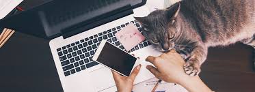 Tom osborne, regional director of hays in malaysia, explains. Why Working From Home Can Lose Its Appeal Magazine Malaysia