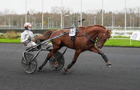 Hooker Berry -07820.jpg | Solvalla