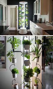 5 Vertical Vegetable Garden Ideas For Beginners Indoor Vegetable Gardening Vertical Vegetable Garden Indoor Vegetables