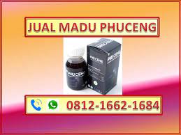 Pin Di Obat Mujarab Impoten Hp Wa 0812 1662 1684