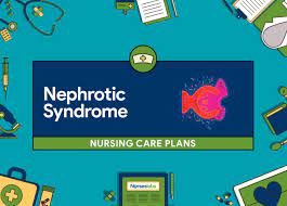 It may be caused by a variety of conditions. 5 Nephrotic Syndrome Nursing Care Plans Nurseslabs