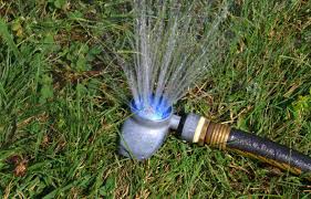 The best way to water your lawn is through the use of a lawn sprinkler attached to a hose. How To Keep Your Grass Green Don T Water Your Lawn Every Dday Even In Summer Express Co Uk