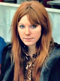 Volkswagen Vanagon and Westfalia owners sharing their vehicle experiences