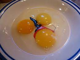 Any egg can go bad, of course, but undamaged eggs will last many weeks in the fridge and i've read studies that have even claimed to have also, eggs stay fresh quite long, even without a refrigerator. How Long Do Eggs Keep Shady Grove Ranch