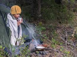 Jika memungkinkan, anda bisa mengidentifikasi racun, guna memutuskan apakah sebaiknya membantu kucing untuk muntah atau tidak. Tsuv9iyy7flc1m