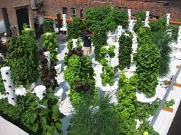 Maybe you would like to learn more about one of these? Vertical Hydroponic Garden Lots Of Food From Small Spaces
