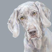 Weimaraner Dog Painting Print Ltd Ed Signed Dog Print Etsy Dog Art Dog Portraits Animal Paintings