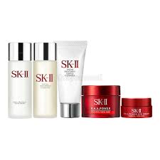 These products are developed through. Sk Ii Pitera Daily Essentials Travel Set 20 5 Items