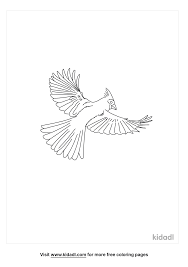 No, it's your entry for the things that fly challenge. Detailed Northern Cardinal Flying Coloring Pages Free Birds Coloring Pages Kidadl