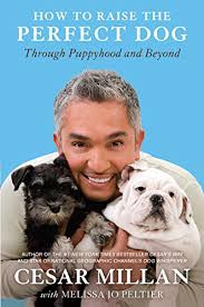 Northern virginia and surrounding areas. How To Raise The Perfect Dog Through Puppyhood And Beyond Kindle Edition By Millan Cesar Melissa Jo Peltier Crafts Hobbies Home Kindle Ebooks Amazon Com
