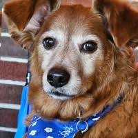 10+ "Tracy Medlock" profiles