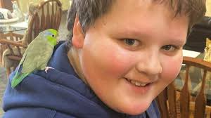 Fundraiser by Lish Hammer : Help for Drayko's family