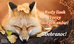 Maybe you would like to learn more about one of these? Dobranoc Fox Animals