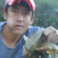 20+ "Arroyo Bueno" profiles