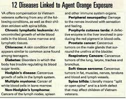 Agent Orange Vietnam Veterans Vietnam Vietnam Vets