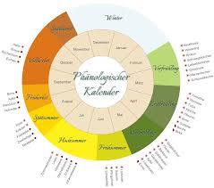 Phaenologischer Kalender Png 1 352 1 194 Pixel Gartenkalender Pflanzkalender Garten