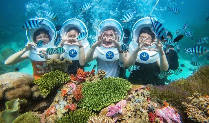 Phu Quoc snorkeling: An essential guide for both beginners & non-beginners  – VinWonders