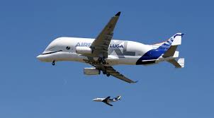 Airbus completes first test flight of beluga xl 'flying whale'. Airbus Beluga Xl Hebt Erstmals Ab Der Spiegel