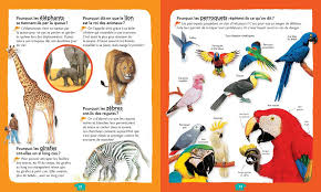 La Petite Encyclopedie Des Pourquoi Gallimard Gallimard Graphiste Encyclopedie