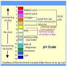 As a point of reference: Restore Your Ph Balance With Vinegar