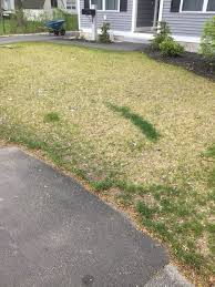 What kind of stone is used in nh? Crushed Stone And Bark Mulch Installation Manchester Nh A Landscaping