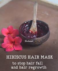 Hibiscus rinse for hair growth. Diy Hibiscus Hair Oil Mask Reduce Hair Fall Grey Hair Naturally