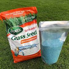 Saya juga menjual tanaman hias dan jasa pembuatan taman dan jasa pasang. Benih Rumput Taman Biji Rumput Jepang Bibit Rumput Swiss Shopee Indonesia