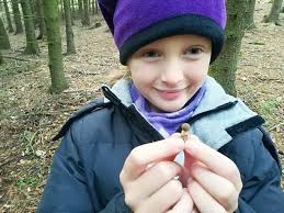 Známe nejkrásnější houbařské fotky roku. Podívejte se, který snímek od vás  zvítězil