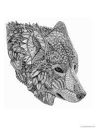 Magic in the books coloring page with cute wolf. Adult Wolf Coloring Pages Wolf For Adults 7 Printable 2020 527 Coloring4free Coloring4free Com