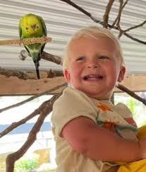 When's the last time a parakeet made you smile this big? Step into the  Parakeet Encounter and experience the fun! 🐦 It's part of your general  admission. The zoo is open every