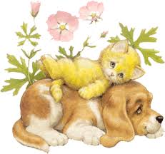 Gifs De Perros Imagenes Gif Animadas De Perros Solo dale click, guarda la imagen e imprimelo o menoj aun los perritos animados nos han acompanado desde siempre, con todas sus aventuras y travesuras, de las cuales hemos sido complices incondicionales. gifs de perros imagenes gif