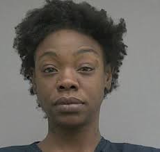 More than a dozen squatters are arrested for living in a Florida motel that  was being turned into a homeless shelter