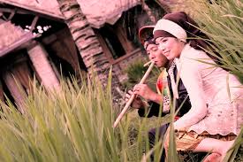 Perlu adanya pendampingan penggunaan input pestisida dan asuransi pertanian yang dapat memberikan perlindungan kepada petani padi sebagai antisipasi. Prewedding Adat Sunda Di Sawah Ide Foto Prewed