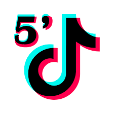Pin On 5mintiktok