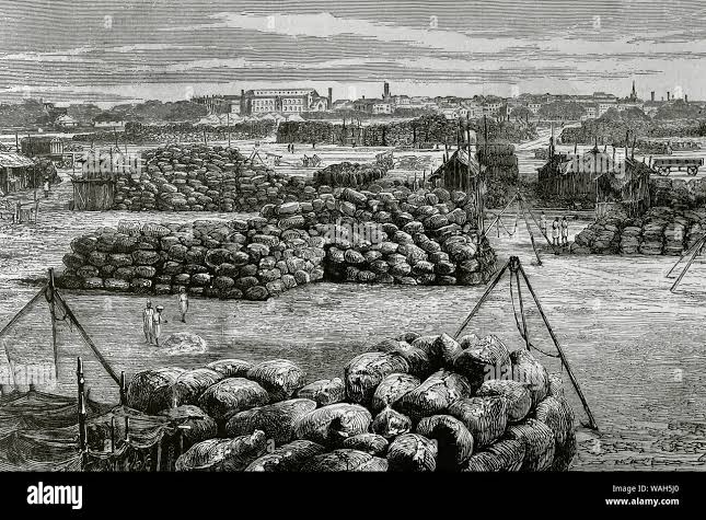 Indian cotton 19th century hi-res stock photography and images - Alamy