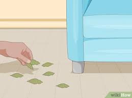 4 Ways To Make Rat Poison Wikihow